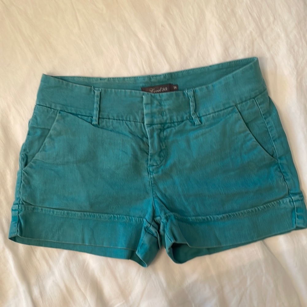 Level 99 teal shorts